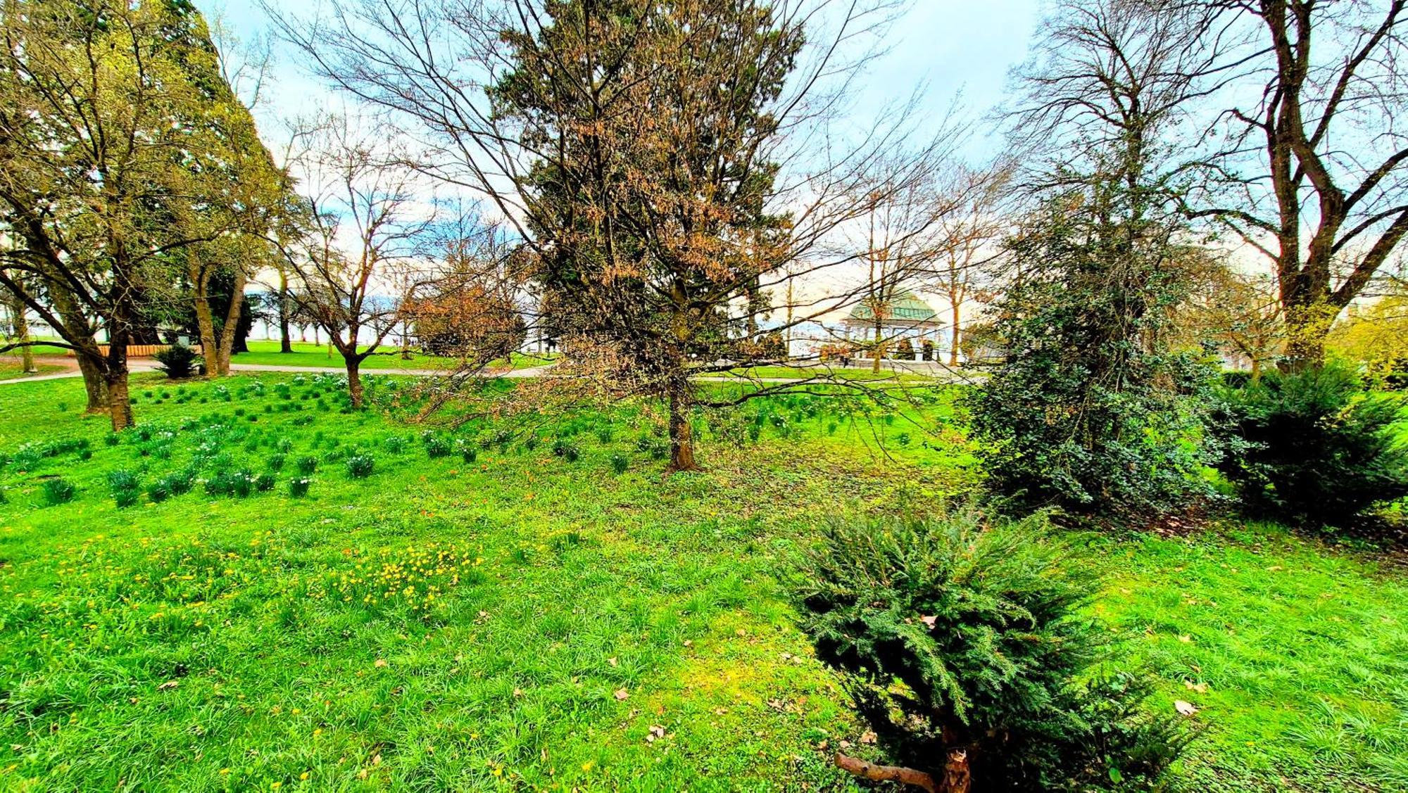 Bodensee City Apartment Friedrichshafen Casa Graf Buitenkant foto
